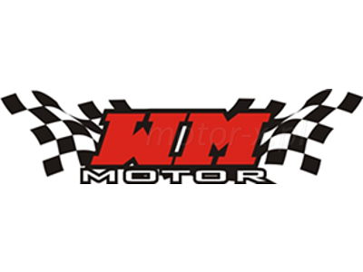 WM Motor