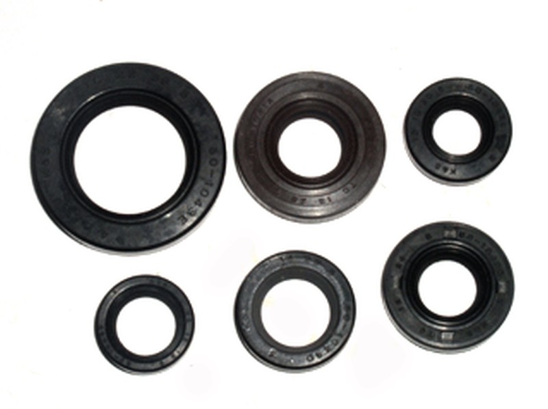 BRONCO KOMPLET (ZESTAW) USZCZELNIACZY SILNIKOWYCH HONDA TRX 300EX '93-'08 (1)