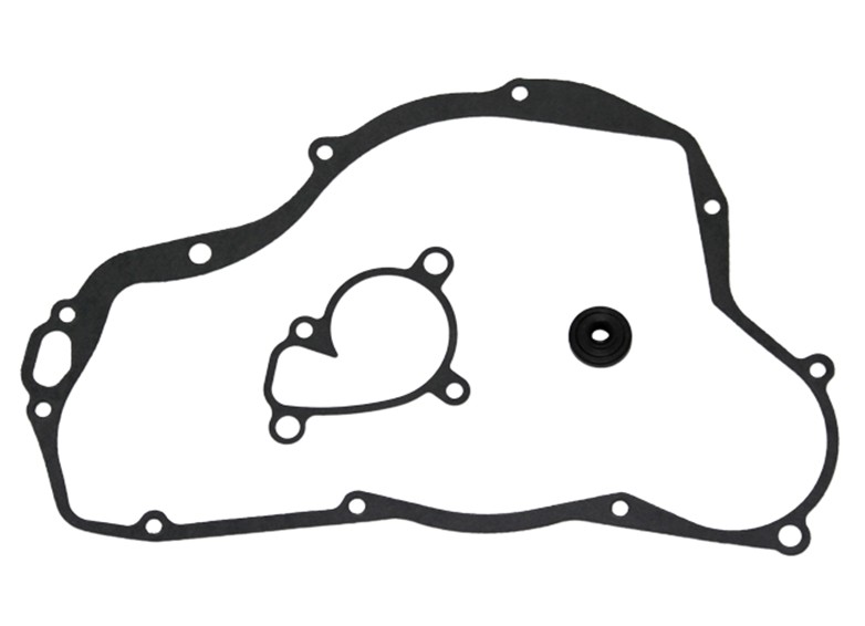 Psychic Zestaw naprawczy pompy wody RM250 01-08 (1)