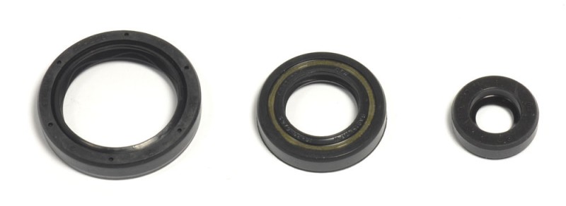 ATHENA KOMPLET (ZESTAW) USZCZELNIACZY SILNIKOWYCH HUSQVARNA TE/TC 250 10-14, TE/TXC 310 11-14 (1)