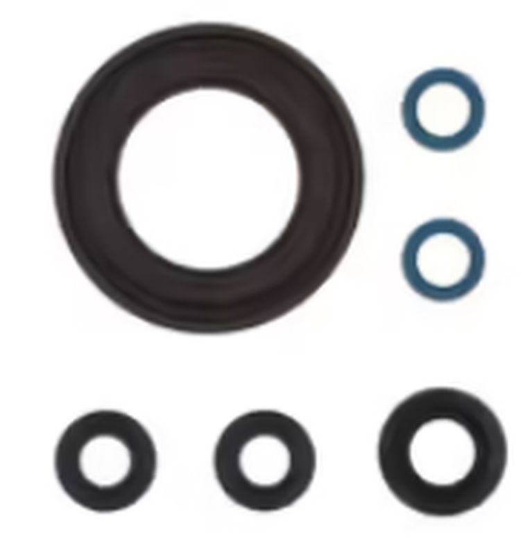 ATHENA KOMPLET (ZESTAW) USZCZELNIACZY SILNIKOWYCH YAMAHA TDM900 '02-'10 (1)