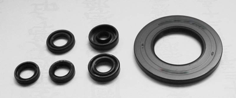 TOURMAX KOMPLET (ZESTAW) USZCZELNIACZY SILNIKOWYCH YAMAHA YZF 1000R '96-00, FZR 1000 '89-95 (MADE IN JAPAN) (1)