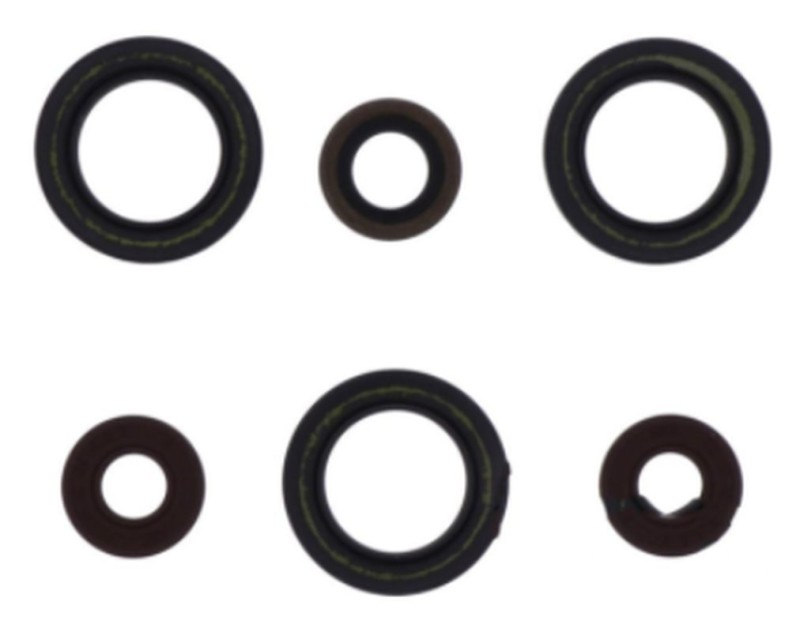 ATHENA KOMPLET (ZESTAW) USZCZELNIACZY SILNIKOWYCH SHERCO SE-R 125 18-21 (1)