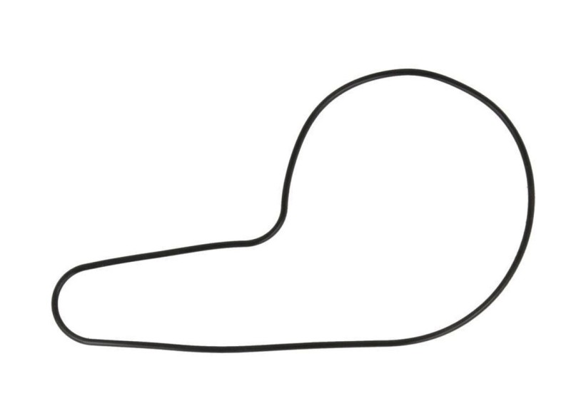 ATHENA USZCZELKA POKRYWY POMPY WODY HONDA TRX 500 AF 01-09