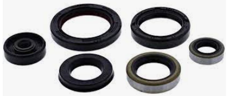 Winderosa Komplet uszczelniaczy silnika YZ250 2001 (1)