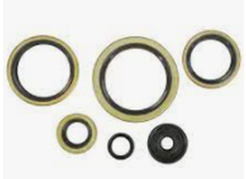 WINDEROSA (VERTEX) KOMPLET (ZESTAW) USZCZELNIACZY SILNIKOWYCH KTM EXC 300 94-03, EXC 360 96-97, EXC 380 98-02, MXC 300 94-03, MXC 360 96-97, MXC 380 98-01, SX 300 94, SX 360 96-97, SX 380 98-02 (1)