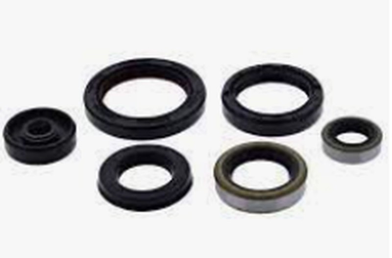 WINDEROSA (VERTEX) KOMPLET (ZESTAW) USZCZELNIACZY SILNIKOWYCH YAMAHA TTR90 00-08 (1)