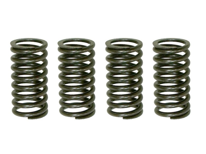 PSYCHIC SPRĘŻYNY SPRZĘGŁOWE KAWASAKI KDX 200 '05-'06, HONDA NX 250R '88-'90 (EBS030) (1)