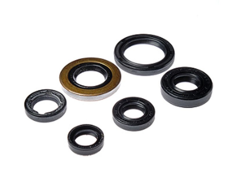BEARING WORX KOMPLET (ZESTAW) USZCZELNIACZY SILNIKOWYCH HONDA TRX 400EX '05-'08, TRX 400X '09-'14 (822278) (1)