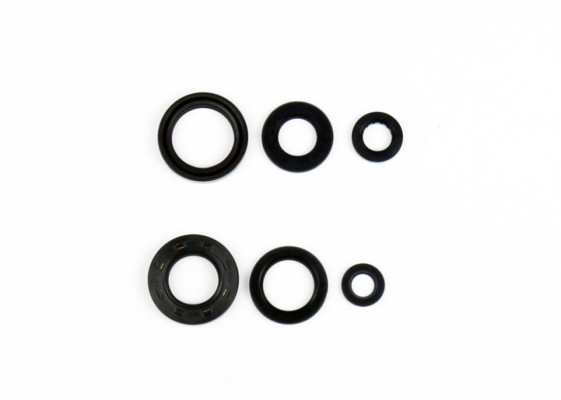 ATHENA KOMPLET (ZESTAW) USZCZELNIACZY SILNIKOWYCH WR 200 (1)