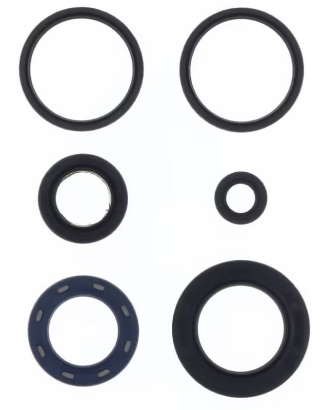 ATHENA KOMPLET USZCZELNIACZY OLEJOWYCH SILNIKA KYMCO B&W 250 '00, GRAND DINK 250 '01-'02, PEOPLE 250 '04-'07, X CITING 300 '08-'09, X CITING 250 '05-'07, G-DINK 300 '12, (1)