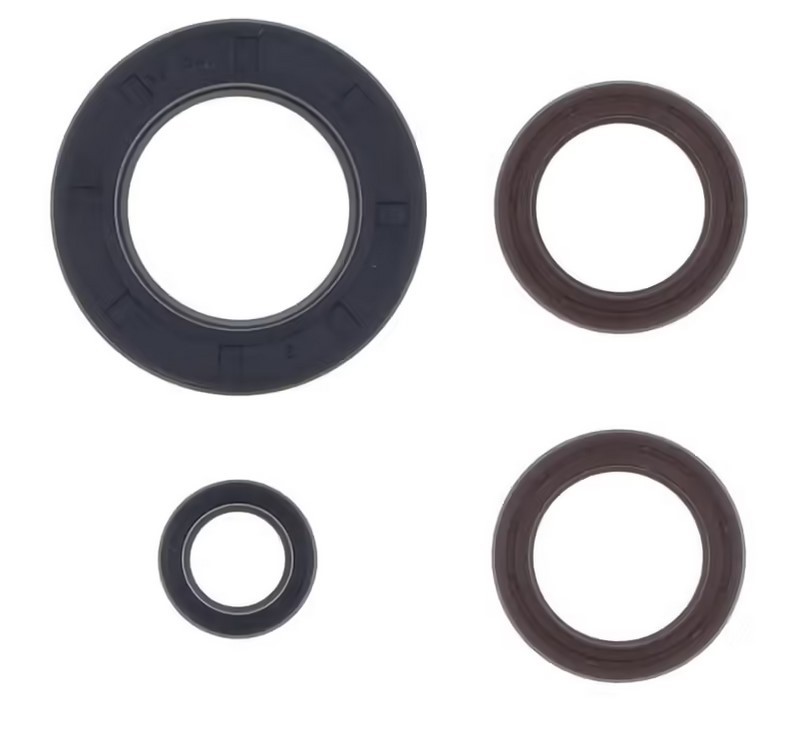 CENTAURO KOMPLET (ZESTAW) USZCZELNIACZY SILNIKOWYCH KTM GS 250 '80-'81 , MX 250 '80-'81 (1)