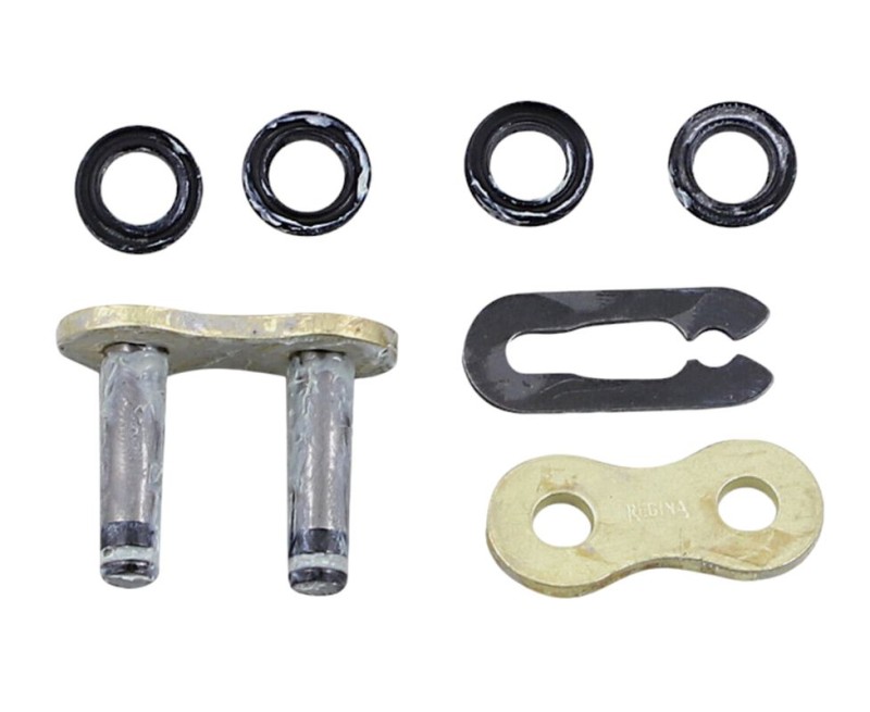 REGINA ZAPINKA ŁAŃCUCHA 525ZRE (42/137ZRE) (1)