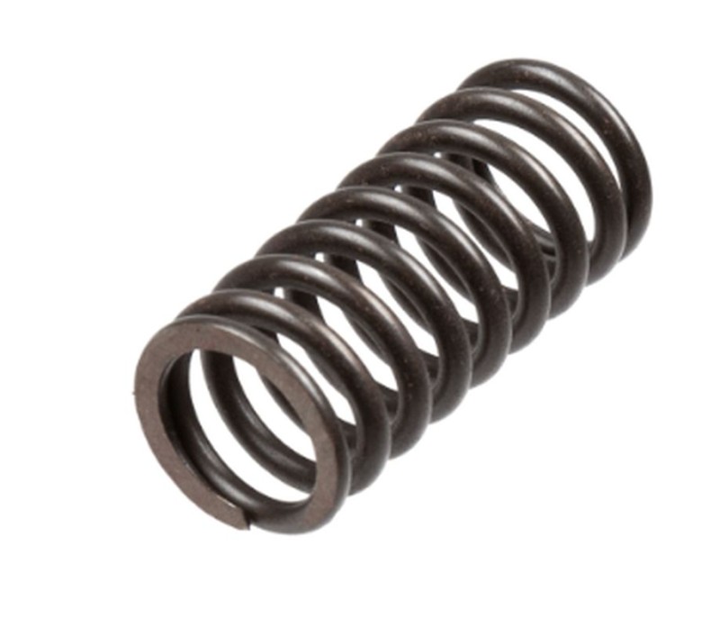 TRW ZF SPRĘŻYNY SPRZĘGŁOWE HONDA VT 1100 C2 / C3 SHADOW '95-'02 (1)