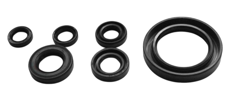 TOURMAX KOMPLET (ZESTAW) USZCZELNIACZY SILNIKOWYCH YAMAHA XVS 650 DRAG STAR '97-'04 (MADE IN JAPAN) (2)