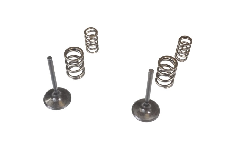 WISECO KPL. ZAWORÓW SSĄCYCH + SPRĘŻYNY KAWASAKI KX 450F '09-'10 (1)