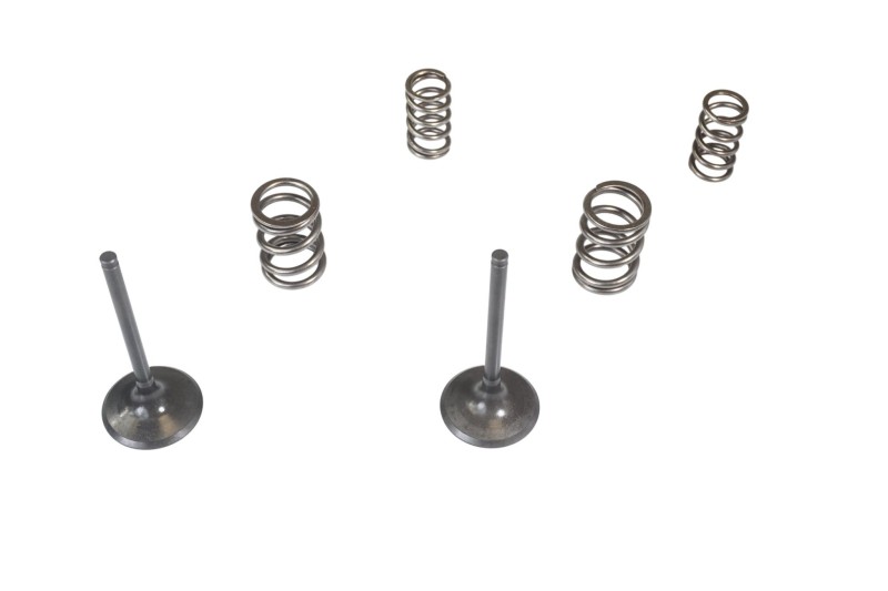 WISECO KPL. ZAWORÓW SSĄCYCH + SPRĘŻYNY KAWASAKI KX 450 F (KXF 450) '06-'08 (1)