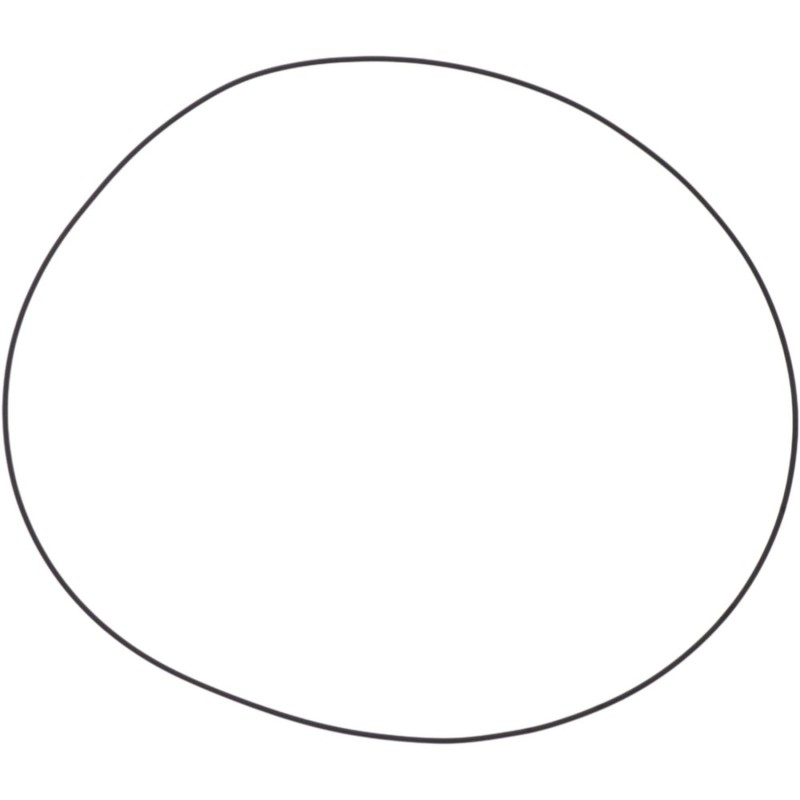 ATHENA 2026/01 USZCZELKA POKRYWY SPRZĘGŁA ZEWNĘTRZNA (O-RING) SHERCO (OEM: 3141) (1)