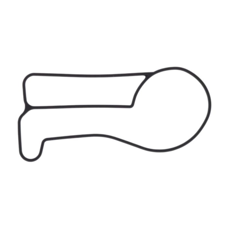 ATHENA 2026/01 USZCZELKA POMPY WODY KTM EXC/SX/XC/XC-W 250/300 '17-'19 ( OEM 55435053000 ) (1)