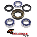 All Balls 25-1037 zestaw łożysk i uszczelniaczy koła tylnego Honda TRX350 \'00-06 TRX400 \'95-07 TRX450 \'98-04 TRX500 \'01-14