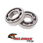 All Balls 24-1096 Zestaw łożysk wału korbowego Yamaha YFM700R Raptor \'06-24 YFM700F Grizzly \'07-15 YXR700 Rhino \'08-13 YFM550 Grizzly \'09-14 (40x90x2mm) (OEM:93306-30810-00)