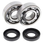All Balls Zestaw łożysk wału korbowego z uszczelniaczami Yamaha YZ125 05-17 24-1062