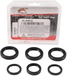 All Balls Uszczelniacze dyfa przód Polaris Sportsman Ranger 300/400/450/500/700/800 07-15 25-2065-5