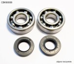Bearing Worx Zestaw łożysk wału korbowego z uszczelniaczami Yamaha YZ 125 05-17 CBK90008 (24-1062)