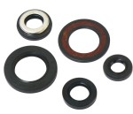 mini: TOURMAX KOMPLET (ZESTAW) USZCZELNIACZY SILNIKOWYCH YAMAHA SZR 660 '95-97, XT 600E '96-99 (MADE IN JAPAN) (2)