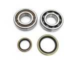 mini: PROX ŁOŻYSKA WAŁU KORBOWEGO Z USZCZELNIACZAMI BETA RR 250 2T '22 (2)