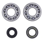 mini: ATHENA ŁOŻYSKA WAŁU KORBOWEGO Z USZCZELNIACZAMI KAWASAKI KDX 250 D1-D4 91-94 (KOYO) (2)