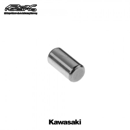 Pin Kawasaki 4x8