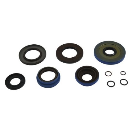 All Balls Uszczelniacze dyfra tył Polaris ACE Ranger Sportsman 325/400/500/570/800/900/1000 0620 2520855