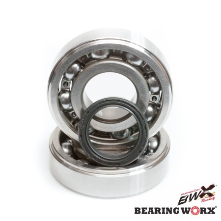 BEARING WORX ŁOŻYSKA WAŁU KORBOWEGO Z USZCZELANIACZAMI KAWASAKI KX 125 8807 (NTN) (MADE IN JAPAN) (241008)