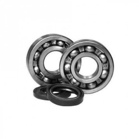 BEARING WORX ŁOŻYSKA WAŁU KORBOWEGO Z USZCZELNIACZAMI SUZUKI RM 250 '05'08 (NTN) (MADE IN JAPAN) (K057)