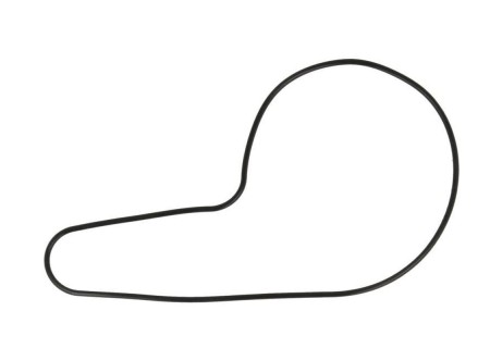 ATHENA USZCZELKA POKRYWY POMPY WODY HONDA TRX 500 AF 0109