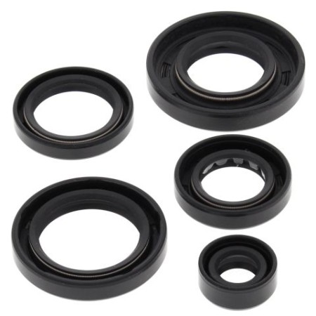 WINDEROSA (VERTEX) KOMPLET (ZESTAW) USZCZELNIACZY SILNIKOWYCH ARCTIC CAT 650 4X4 H1 0711, 650 H1 LTD 0507, 650 H1 MUDPRO 1011, 650 TRV 0708, 650 TRV LTD 07