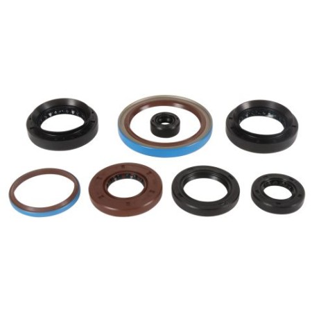 WINDEROSA (VERTEX) KOMPLET (ZESTAW) USZCZELNIACZY SILNIKOWYCH ARCTIC CAT 550 EFI 4X4 1214, 14, ALTERRA 570 1920, ALTERRA 570 EPS 1920, PROWLER 700 HDX 1214, PROWLER 700 HDX XT 1517,