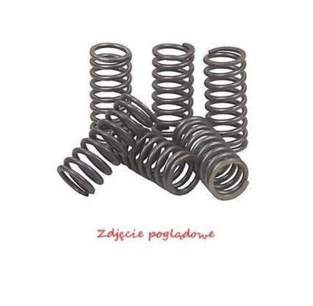 BRONCO SPRĘŻYNY SPRZĘGŁOWE HONDA CRF 50F '04'21, XR 50R '00'03, CRF 70F '04'14, CT 70 '77'84, XR 70R '97'03, CRF 80F '04'16, (EBS018)