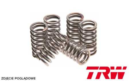 TRW ZF SPRĘŻYNY SPRZĘGŁOWE APRILIA 125 RED ROSE 9095, YAMAHA YZ 125 8789, WR 250 0117, XS 400 7783, FZS 600 9899, TT 600 8599, TTR 600 9704, XT 600 8386, XT 600 Z TENERE 8387, SUZUKI RM 250 8992, (EBS002)