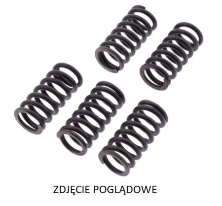 TRW ZF SPRĘŻYNY SPRZĘGŁOWE BIMOTA DB9 1200 BRIVIDO '12'17, DUCATI HYPERMOTARD 939 '15'18, MULTISTRADA/HYPERMOTARD 950 '18, PANIGALE 959 '16, SUPERSPORT 937 '17,