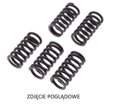 TRW ZF SPRĘŻYNY SPRZĘGŁOWE BIMOTA DB5 1100R/S '07'12, DB6 1100 DELIRIO '07'14, DUCATI EVO/STREETFIGHTER '10'15, PANIGALE 899 '14'15, GT/SPORT 1000 '08'10, ST3 1000 ''05'07, MULTISTRADA 1100 '07'09