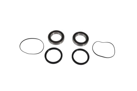 Obrazek dla: FACTORY LINKS 2025/02 ŁOŻYSKA KOŁA TYLNEGO Z USZCZELNIACZAMI HONDA TRX 250 R / X '86'92, ATC 250 R / 350 X '85'86, TRX 300 '93'09, TRX 400 '99'14, ADLEY 220 / 300 (251320)