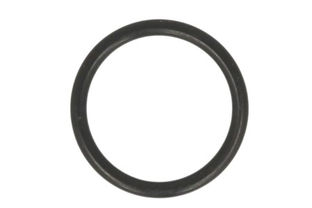 Obrazek dla: ATHENA 2026/01 USZCZELKA (ORING NBR) (24.5 X 30,5 X 3MM) BMW, YAMAHA, POLARIS, KYMCO (OEM: 12412343252; 00128931; 3240114; 9321024235)