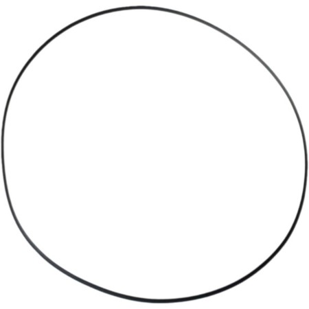 Obrazek dla: ATHENA 2026/01 USZCZELKA POKRYWY SPRZĘGŁA (ZEWNĘTRZNA) (ORING NBR) (200 X 206 X 3MM) POLARIS (OEM: 5412458)