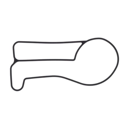 Obrazek dla: ATHENA 2026/01 USZCZELKA POMPY WODY KTM EXC/SX/XC/XCW 250/300 '17'19 ( OEM 55435053000 )